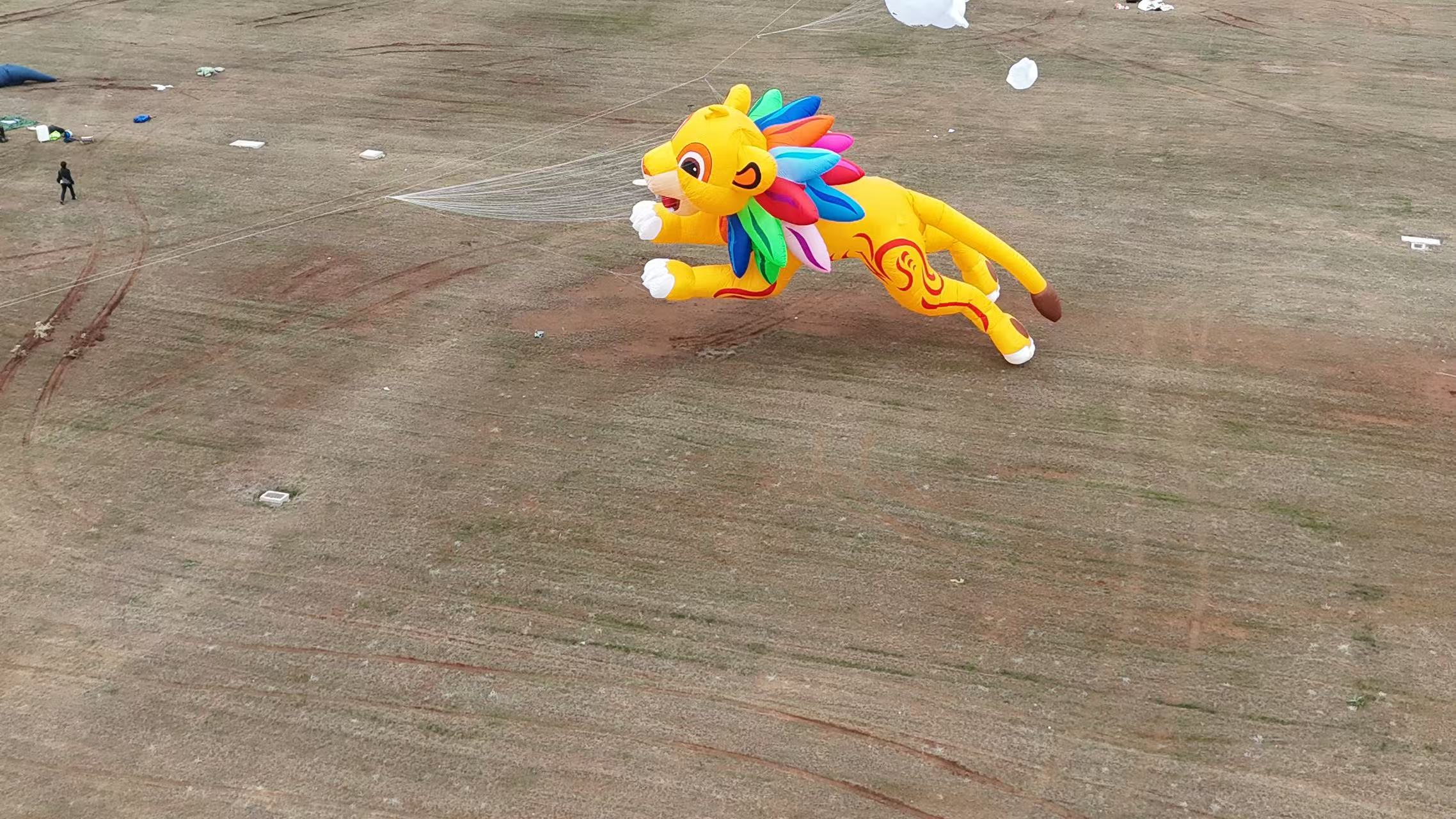 阳泉市品牌风筝定制风筝制作 - 一站式服务
