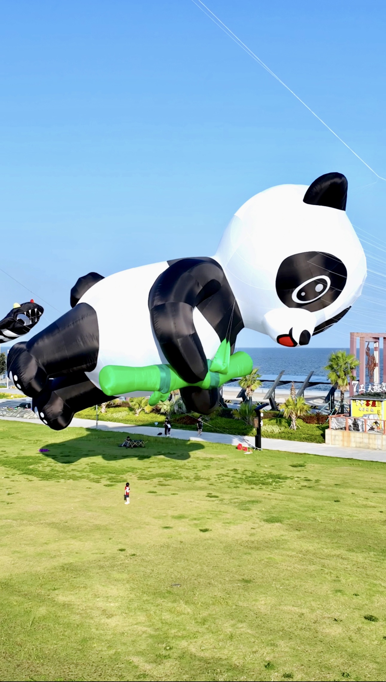 阳泉市风筝批发风筝放飞活动策划 - 推荐