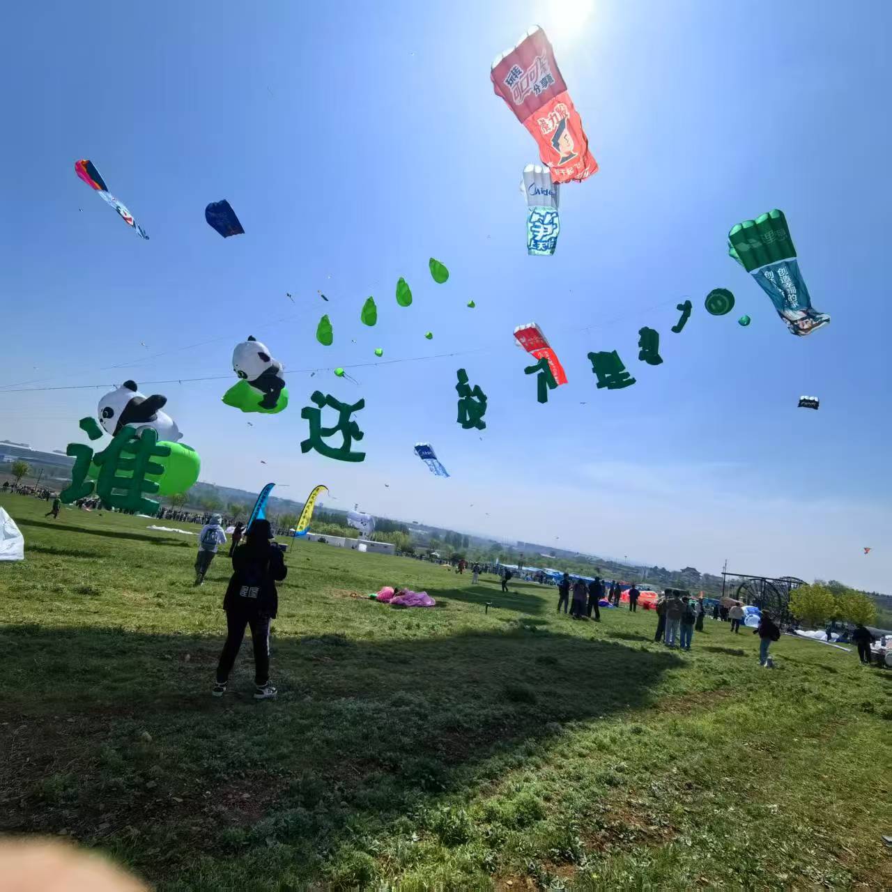 阳泉市风筝定制风筝定制 - 推荐